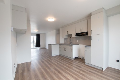 Cuisine - 1-189 Rue Hector-Lanthier, Saint-Eustache, QC - Indoor Photo Showing Kitchen