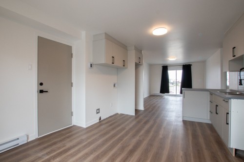 Cuisine - 1-189 Rue Hector-Lanthier, Saint-Eustache, QC - Indoor Photo Showing Kitchen