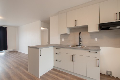 Cuisine - 1-189 Rue Hector-Lanthier, Saint-Eustache, QC - Indoor Photo Showing Kitchen With Double Sink