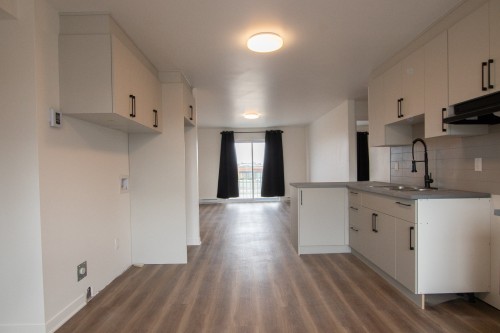 Cuisine - 1-189 Rue Hector-Lanthier, Saint-Eustache, QC - Indoor Photo Showing Kitchen