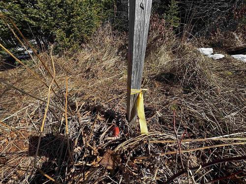 Maple Drive, Cape George Estates, NS 