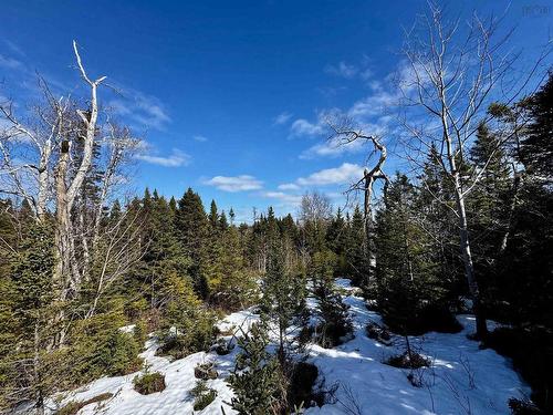Maple Drive, Cape George Estates, NS 