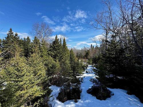 Maple Drive, Cape George Estates, NS 
