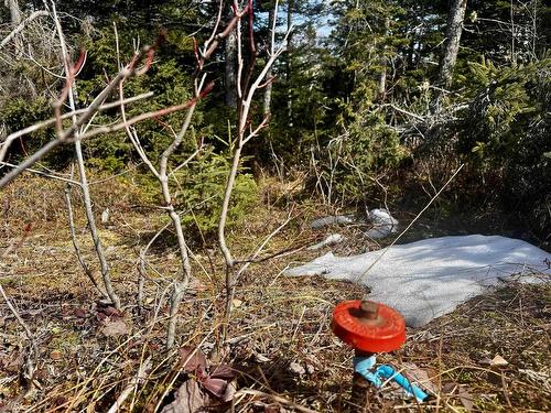 Maple Drive, Cape George Estates, NS 