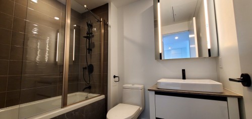 Bathroom - 4708-720 Rue St-Jacques, Montréal (Ville-Marie), QC - Indoor Photo Showing Bathroom