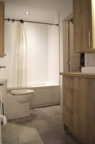 Bathroom - 3882 Rue Léonard, Longueuil (Saint-Hubert), QC - Indoor Photo Showing Bathroom