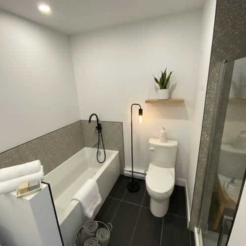 Salle de bains - 3-274 Rue Daoust, Salaberry-De-Valleyfield, QC - Indoor Photo Showing Bathroom