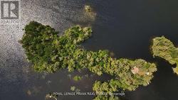 2295 STONY LAKE ISL 17  North Kawartha, ON K0L 2H0