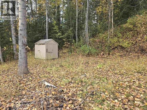 2183 Bartkow Road, Quesnel, BC - Outdoor