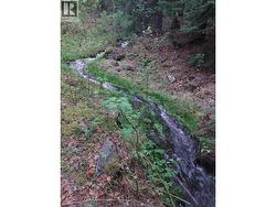 Seasonal Creek up mountain - 
