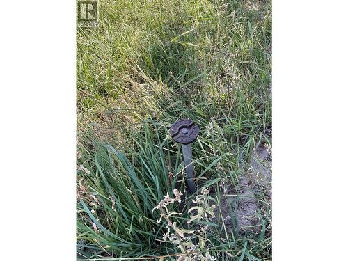 Municipal Water - 430 Ninth Avenue, Midway, BC 