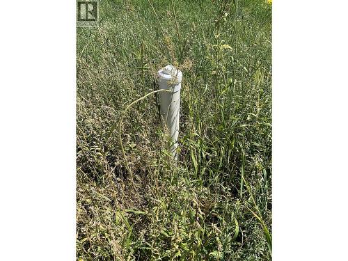 Municipal Sewer - 430 Ninth Avenue, Midway, BC 