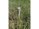 Municipal Sewer - 430 Ninth Avenue, Midway, BC 