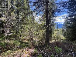Lot 2 LOIS Lane Winlaw, BC V0G 2J0