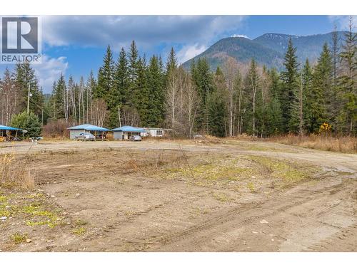5513 Prosh Frontage Road, Sicamous, BC - Outdoor With View