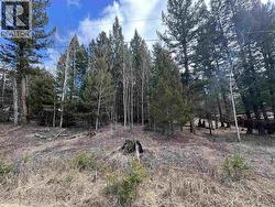 6431 LAMBLEY ROAD 100 Mile House, BC V0K 2E3