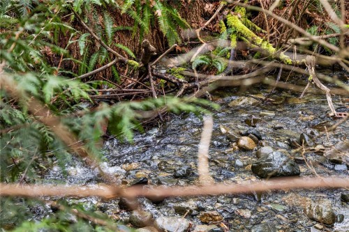 2865 Munroe Rd, Nanaimo, BC 