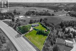 313338 6 HIGHWAY West Grey, ON N0G 1R0