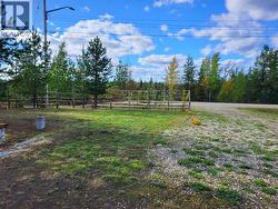338 POLAR STREET Bear Lake, BC V0J 3G0