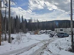 3556 BRADLEY CREEK ROAD Forest Grove, BC V0K 1M0