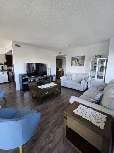 Salon - 401-3330 Boul. Le Carrefour, Laval (Chomedey), QC - Indoor Photo Showing Living Room