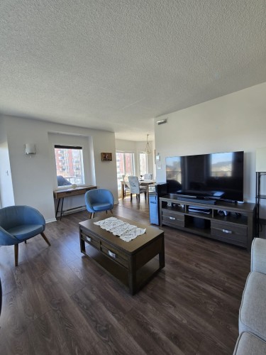 Salon - 401-3330 Boul. Le Carrefour, Laval (Chomedey), QC - Indoor Photo Showing Living Room