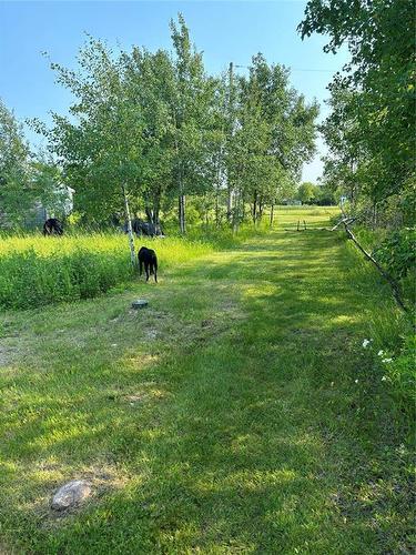 0 419 Highway, Chatfield, MB 