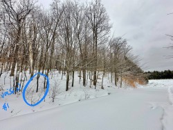 Rue McCaughey Gore, QC J0V 1K0