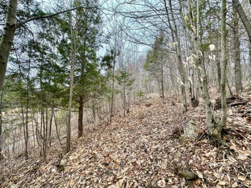 Vue d'ensemble - Rue Mccaughey, Gore, QC 