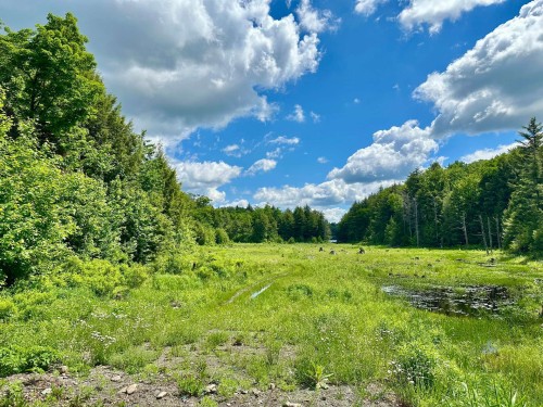 Vue d'ensemble - Rue Mccaughey, Gore, QC 