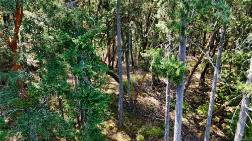 Lot 4 Willis Point Rd, Central Saanich, BC 