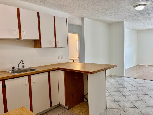 Kitchen - 202-55 Rue Beauséjour, La Prairie, QC - Indoor Photo Showing Kitchen
