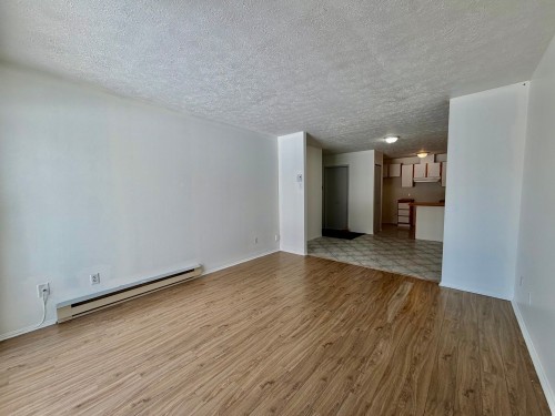 Living Room - 202-55 Rue Beauséjour, La Prairie, QC - Indoor Photo Showing Other Room