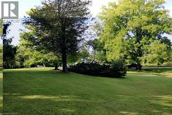 View of home's community with view of scattered trees - 