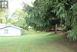 View of grassy yard - 