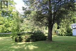 View of green lawn - 