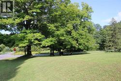 View of green lawn featuring view of wooded area - 