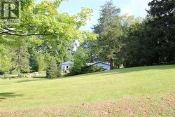 View of green lawn with view of scattered trees - 