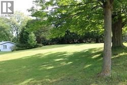 View of green lawn with view of scattered trees - 