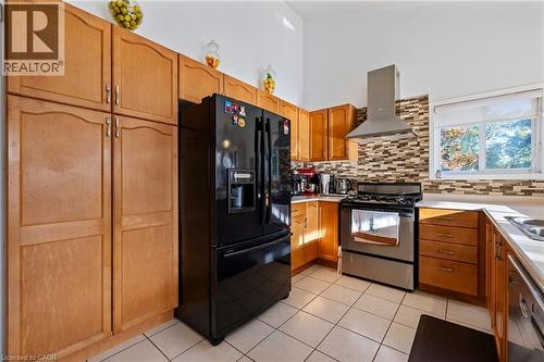 3 Nature Court, Hamilton, ON - Indoor Photo Showing Kitchen With Double Sink