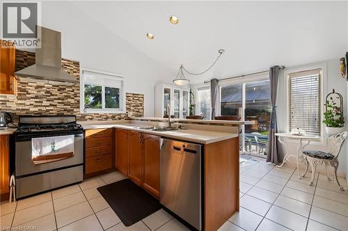 3 Nature Court, Hamilton, ON - Indoor Photo Showing Kitchen With Double Sink