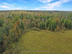 1125XX GREY ROAD 14 Road  Southgate, ON N0C 1B0