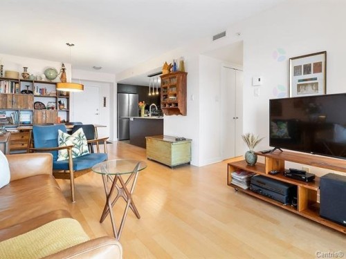 Salon - 412-10150 Place De L'Acadie, Montréal (Ahuntsic-Cartierville), QC - Indoor Photo Showing Living Room