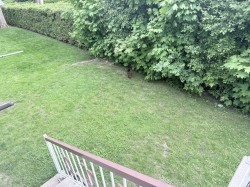 Courtyard - 