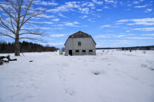 Grange - 1136 Ch. De Moffet-Laforce, Moffet, QC - Outdoor With View
