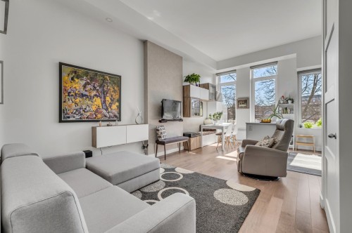 Overall view - 206-880 Rue Père-Marquette, Québec (La Cité-Limoilou), QC - Indoor Photo Showing Living Room