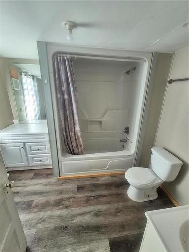 154 3Rd Avenue, Neepawa, MB - Indoor Photo Showing Bathroom