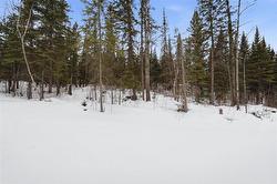 79 Cat Tail DR  Alexander Rm, MB R0E 1A0