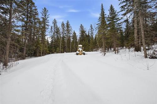 82 Cat Tail Dr, Alexander Rm, MB 