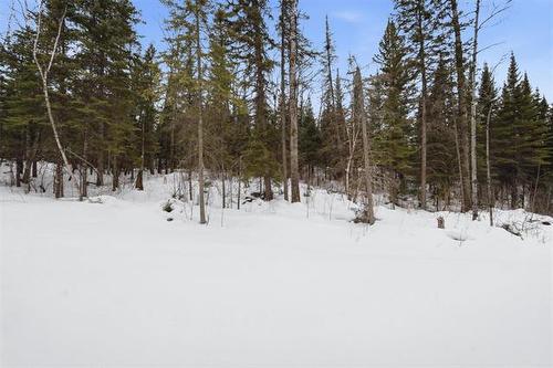 82 Cat Tail Dr, Alexander Rm, MB 